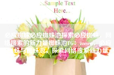 必应蜘蛛必应蜘蛛池探索必应蜘蛛，网络搜索的新力量蜘蛛池TG：zzcseo，必应蜘蛛与蜘蛛池，探索网络搜索新力量