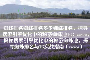 蜘蛛排名蜘蛛排名多少蜘蛛排名，探寻搜索引擎优化中的秘密蜘蛛池TG：zzcseo，揭秘搜索引擎优化中的秘密蜘蛛池，探寻蜘蛛排名与TG实战指南（zzcseo）
