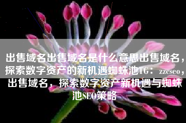 出售域名出售域名是什么意思出售域名，探索数字资产的新机遇蜘蛛池TG：zzcseo，出售域名，探索数字资产新机遇与蜘蛛池SEO策略