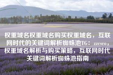 权重域名权重域名购买权重域名，互联网时代的关键词解析蜘蛛池TG：zzcseo，权重域名解析与购买策略，互联网时代关键词解析蜘蛛池指南
