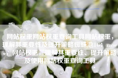 网站权重网站权重查询工具网站权重，理解其重要性及提升策略蜘蛛池TG：zzcseo，网站权重，理解其重要性、提升策略及使用网站权重查询工具