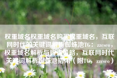 权重域名权重域名购买权重域名，互联网时代的关键词解析蜘蛛池TG：zzcseo，权重域名解析与购买策略，互联网时代关键词解析蜘蛛池指南（附TG，zzcseo）