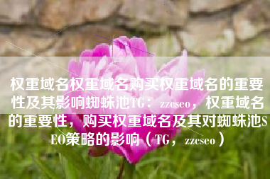 权重域名权重域名购买权重域名的重要性及其影响蜘蛛池TG：zzcseo，权重域名的重要性，购买权重域名及其对蜘蛛池SEO策略的影响（TG，zzcseo）