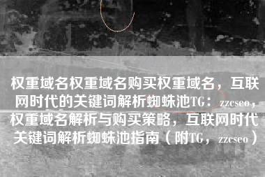 权重域名权重域名购买权重域名，互联网时代的关键词解析蜘蛛池TG：zzcseo，权重域名解析与购买策略，互联网时代关键词解析蜘蛛池指南（附TG，zzcseo）
