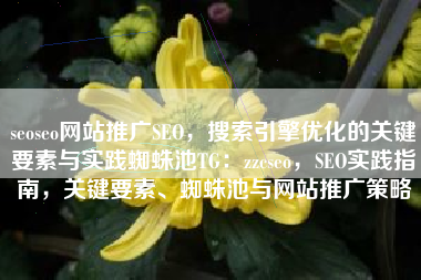 seoseo网站推广SEO，搜索引擎优化的关键要素与实践蜘蛛池TG：zzcseo，SEO实践指南，关键要素、蜘蛛池与网站推广策略