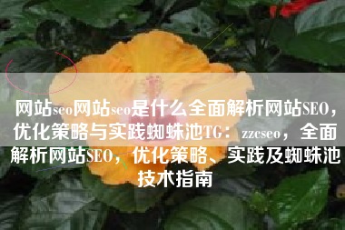 网站seo网站seo是什么全面解析网站SEO，优化策略与实践蜘蛛池TG：zzcseo，全面解析网站SEO，优化策略、实践及蜘蛛池技术指南