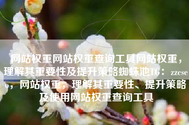 网站权重网站权重查询工具网站权重，理解其重要性及提升策略蜘蛛池TG：zzcseo，网站权重，理解其重要性、提升策略及使用网站权重查询工具