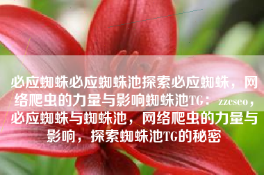 必应蜘蛛必应蜘蛛池探索必应蜘蛛，网络爬虫的力量与影响蜘蛛池TG：zzcseo，必应蜘蛛与蜘蛛池，网络爬虫的力量与影响，探索蜘蛛池TG的秘密