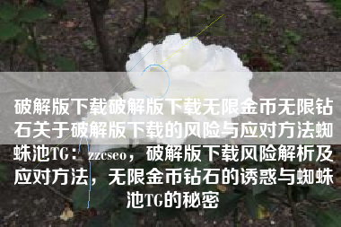 破解版下载破解版下载无限金币无限钻石关于破解版下载的风险与应对方法蜘蛛池TG：zzcseo，破解版下载风险解析及应对方法，无限金币钻石的诱惑与蜘蛛池TG的秘密