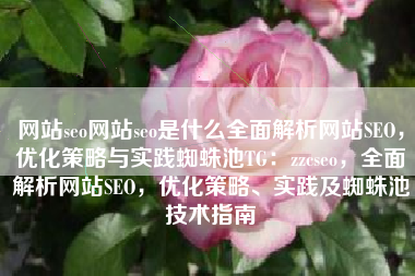 网站seo网站seo是什么全面解析网站SEO，优化策略与实践蜘蛛池TG：zzcseo，全面解析网站SEO，优化策略、实践及蜘蛛池技术指南