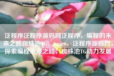 泛程序泛程序源码网泛程序，编程的未来之路蜘蛛池TG：zzcseo，泛程序源码网，探索编程未来之路，蜘蛛池TG助力发展