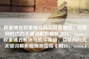 权重域名权重域名购买权重域名，互联网时代的关键词解析蜘蛛池TG：zzcseo，权重域名解析与购买策略，互联网时代关键词解析蜘蛛池指南（附TG，zzcseo）