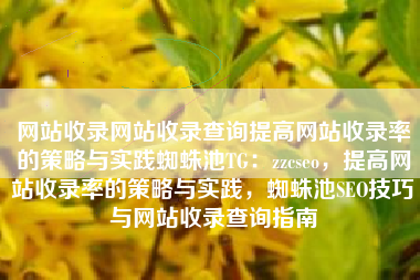 网站收录网站收录查询提高网站收录率的策略与实践蜘蛛池TG：zzcseo，提高网站收录率的策略与实践，蜘蛛池SEO技巧与网站收录查询指南
