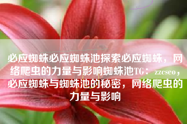 必应蜘蛛必应蜘蛛池探索必应蜘蛛，网络爬虫的力量与影响蜘蛛池TG：zzcseo，必应蜘蛛与蜘蛛池的秘密，网络爬虫的力量与影响