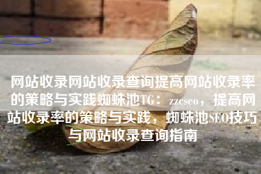 网站收录网站收录查询提高网站收录率的策略与实践蜘蛛池TG:zzcseo,提高网站收录率的策略与实践,蜘蛛池SEO技巧与网站收录查询指南 网站收录网站收录查询提高网站收录率的策略与实践蜘蛛池TG:zzcseo,提高网站收录率的策略与实践,蜘蛛池SEO技巧与网站收录查询指南