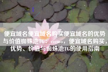 便宜域名便宜域名购买便宜域名的优势与价值蜘蛛池TG：zzcseo，便宜域名购买，优势、价值与蜘蛛池TG的使用指南