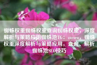 蜘蛛权重蜘蛛权重查询蜘蛛权重，深度解析与策略应用蜘蛛池TG：zzcseo，蜘蛛权重深度解析与策略应用，查询、解析蜘蛛池SEO技巧
