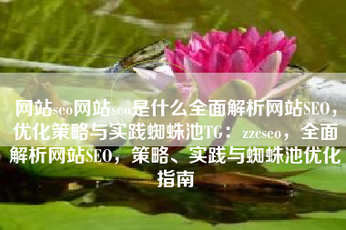 网站seo网站seo是什么全面解析网站SEO，优化策略与实践蜘蛛池TG：zzcseo，全面解析网站SEO，策略、实践与蜘蛛池优化指南