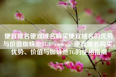 便宜域名便宜域名购买便宜域名的优势与价值蜘蛛池TG：zzcseo，便宜域名购买，优势、价值与蜘蛛池TG的使用指南