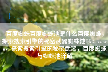 百度蜘蛛百度蜘蛛池是什么百度蜘蛛，探索搜索引擎的秘密武器蜘蛛池TG：zzcseo，探索搜索引擎的秘密武器，百度蜘蛛与蜘蛛池详解