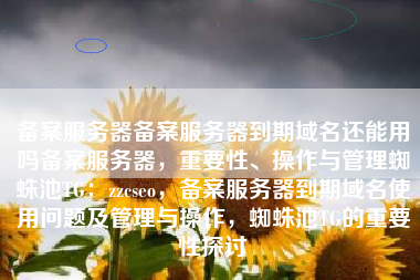 备案服务器备案服务器到期域名还能用吗备案服务器，重要性、操作与管理蜘蛛池TG：zzcseo，备案服务器到期域名使用问题及管理与操作，蜘蛛池TG的重要性探讨