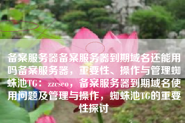 备案服务器备案服务器到期域名还能用吗备案服务器，重要性、操作与管理蜘蛛池TG：zzcseo，备案服务器到期域名使用问题及管理与操作，蜘蛛池TG的重要性探讨