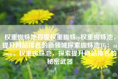 权重蜘蛛池百度权重蜘蛛ip权重蜘蛛池，提升网站排名的新领域探索蜘蛛池TG：zzcseo，权重蜘蛛池，探索提升网站排名的秘密武器