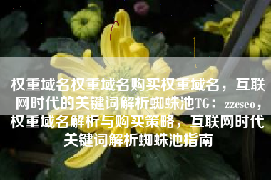 权重域名权重域名购买权重域名，互联网时代的关键词解析蜘蛛池TG：zzcseo，权重域名解析与购买策略，互联网时代关键词解析蜘蛛池指南