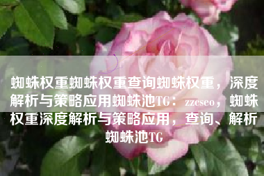蜘蛛权重蜘蛛权重查询蜘蛛权重，深度解析与策略应用蜘蛛池TG：zzcseo，蜘蛛权重深度解析与策略应用，查询、解析蜘蛛池TG