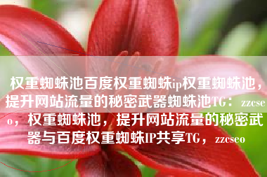 权重蜘蛛池百度权重蜘蛛ip权重蜘蛛池，提升网站流量的秘密武器蜘蛛池TG：zzcseo，权重蜘蛛池，提升网站流量的秘密武器与百度权重蜘蛛IP共享TG，zzcseo