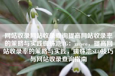 网站收录网站收录查询提高网站收录率的策略与实践蜘蛛池TG：zzcseo，提高网站收录率的策略与实践，蜘蛛池SEO技巧与网站收录查询指南
