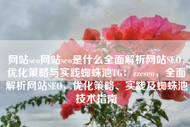 网站seo网站seo是什么全面解析网站SEO，优化策略与实践蜘蛛池TG：zzcseo，全面解析网站SEO，优化策略、实践及蜘蛛池技术指南