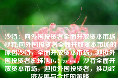 沙特：向外国投资者全面开放资本市场沙特:向外国投资者全面开放资本市场的原因沙特，全面开放资本市场，迎接外国投资者蜘蛛池TG：zzcseo，沙特全面开放资本市场，迎接外国投资者，推动经济发展与合作的策略