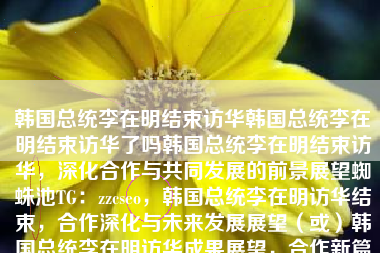 韩国总统李在明结束访华韩国总统李在明结束访华了吗韩国总统李在明结束访华，深化合作与共同发展的前景展望蜘蛛池TG：zzcseo，韩国总统李在明访华结束，合作深化与未来发展展望（或）韩国总统李在明访华成果展望，合作新篇章开启