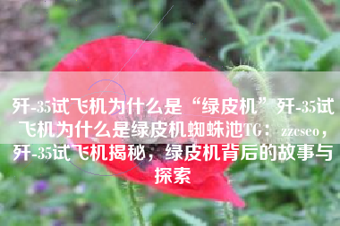 歼-35试飞机为什么是“绿皮机”歼-35试飞机为什么是绿皮机蜘蛛池TG:zzcseo,歼-35试飞机揭秘,绿皮机背后的故事与探索 歼-35试飞机为什么是“绿皮机”歼-35试飞机为什么是绿皮机蜘蛛池TG:zzcseo,歼-35试飞机揭秘,绿皮机背后的故事与探索