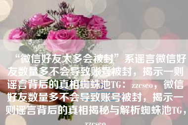 “微信好友太多会被封”系谣言微信好友数量多不会导致账号被封，揭示一则谣言背后的真相蜘蛛池TG：zzcseo，微信好友数量多不会导致账号被封，揭示一则谣言背后的真相揭秘与解析蜘蛛池TG，zzcseo