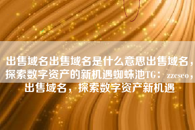 出售域名出售域名是什么意思出售域名，探索数字资产的新机遇蜘蛛池TG：zzcseo，出售域名，探索数字资产新机遇
