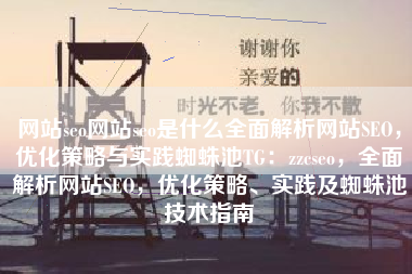 网站seo网站seo是什么全面解析网站SEO，优化策略与实践蜘蛛池TG：zzcseo，全面解析网站SEO，优化策略、实践及蜘蛛池技术指南