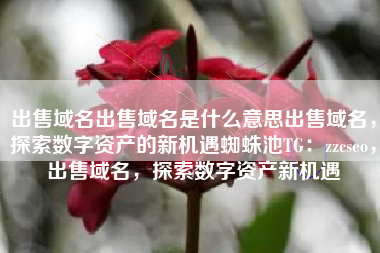 出售域名出售域名是什么意思出售域名，探索数字资产的新机遇蜘蛛池TG：zzcseo，出售域名，探索数字资产新机遇