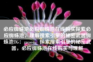 探索Bing必应搜索引擎的神秘武器——必应蜘蛛池