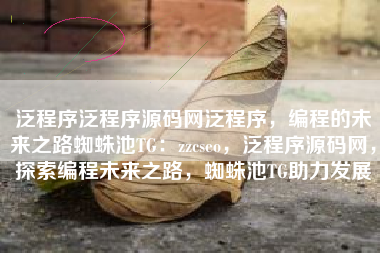 泛程序泛程序源码网泛程序，编程的未来之路蜘蛛池TG：zzcseo，泛程序源码网，探索编程未来之路，蜘蛛池TG助力发展