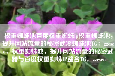 权重蜘蛛池百度权重蜘蛛ip权重蜘蛛池，提升网站流量的秘密武器蜘蛛池TG：zzcseo，权重蜘蛛池，提升网站流量的秘密武器与百度权重蜘蛛IP整合TG，zzcseo