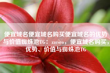 便宜域名便宜域名购买便宜域名的优势与价值蜘蛛池TG：zzcseo，便宜域名购买，优势、价值与蜘蛛池TG