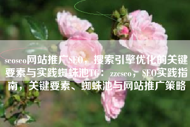 seoseo网站推广SEO，搜索引擎优化的关键要素与实践蜘蛛池TG：zzcseo，SEO实践指南，关键要素、蜘蛛池与网站推广策略