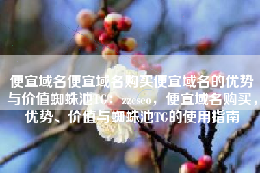 便宜域名便宜域名购买便宜域名的优势与价值蜘蛛池TG：zzcseo，便宜域名购买，优势、价值与蜘蛛池TG的使用指南