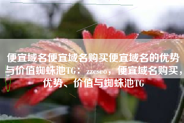 便宜域名便宜域名购买便宜域名的优势与价值蜘蛛池TG：zzcseo，便宜域名购买，优势、价值与蜘蛛池TG