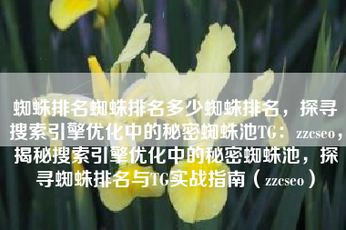 蜘蛛排名蜘蛛排名多少蜘蛛排名，探寻搜索引擎优化中的秘密蜘蛛池TG：zzcseo，揭秘搜索引擎优化中的秘密蜘蛛池，探寻蜘蛛排名与TG实战指南（zzcseo）