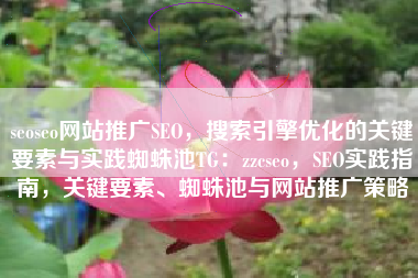 seoseo网站推广SEO，搜索引擎优化的关键要素与实践蜘蛛池TG：zzcseo，SEO实践指南，关键要素、蜘蛛池与网站推广策略