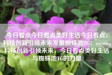 今日看点今日看点美好生活今日看点，科技创新引领未来发展蜘蛛池TG：zzcseo，科技创新引领未来，今日看点美好生活与蜘蛛池TG的力量