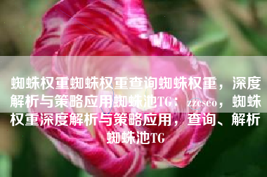 蜘蛛权重蜘蛛权重查询蜘蛛权重，深度解析与策略应用蜘蛛池TG：zzcseo，蜘蛛权重深度解析与策略应用，查询、解析蜘蛛池TG
